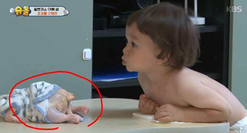 發現雞毛被拔光光《怕雞冷的William》網友吐槽你自己不也....