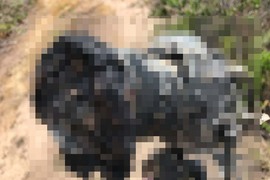 《NASA攝影師相機被烤焦》機生拍出的最後一張照片是... 《NASA攝影師相機被烤焦》機生拍出的最後一張照片是...