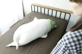 《性感大根抱枕》那姿勢性感的白蘿蔔終於變成抱枕降臨你家(?) 《性感大根抱枕》那姿勢性感的白蘿蔔終於變成抱枕降臨你家(?)