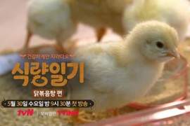 新韓綜《食糧日記》小雞可愛但最後卻要吃掉 有點殘忍卻有意義的話題 新韓綜《食糧日記》小雞可愛但最後卻要吃掉 有點殘忍卻有意義的話題