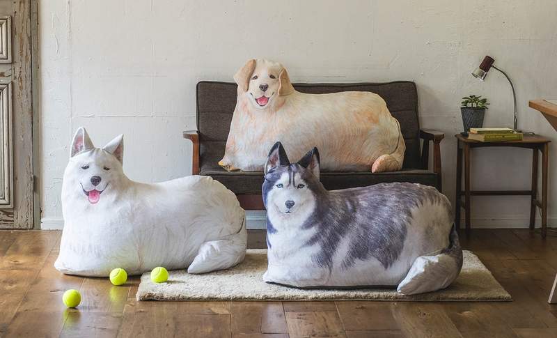 療癒又實用《大型犬抱枕》也是「棉被收納袋」哈士奇、黃金獵犬和薩摩耶幫你解決收納問題♡ 療癒又實用《大型犬抱枕》也是「棉被收納袋」哈士奇、黃金獵犬和薩摩耶幫你解決收納問題♡
