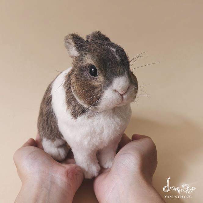 《台灣羊毛氈達人》「Dollmofee」戳出來的小動物們每隻都跟真的一樣