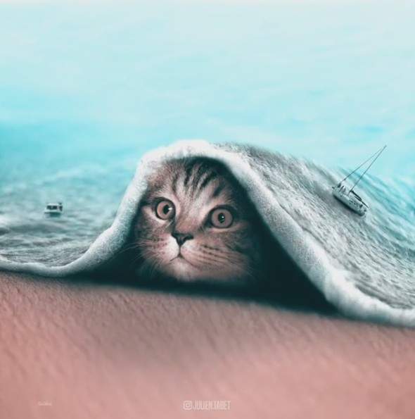 《奇妙幻想的PS動物》沒有極限的超現實隨意發揮