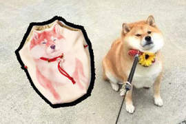 《鬧彆扭柴犬收納袋》偶就是不想出門別帶我出去啊 《鬧彆扭柴犬收納袋》偶就是不想出門別帶我出去啊