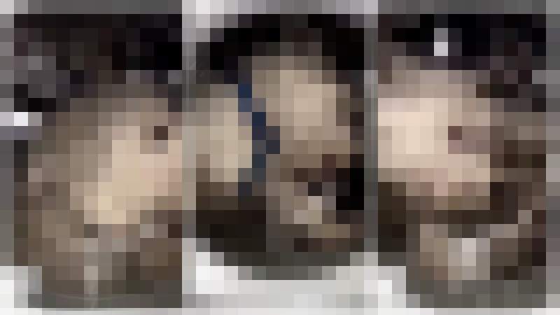 【炎上】殘忍女網紅《把狗狗關進洗衣機拍影片》全球網友猛烈抨擊,她刪文處置... 【炎上】殘忍女網紅《把狗狗關進洗衣機拍影片》全球網友猛烈抨擊,她刪文處置...