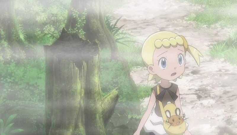 慎選旅遊時機《夏天的東北海道霧茫茫》什麼都看不到超可惜……