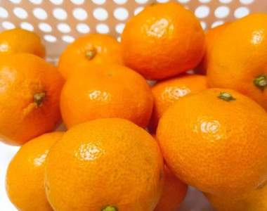 很多人還不知道《原來橘子皮可以做暖暖包》就跟你說錢不能亂花要省下來吼 很多人還不知道《原來橘子皮可以做暖暖包》就跟你說錢不能亂花要省下來吼