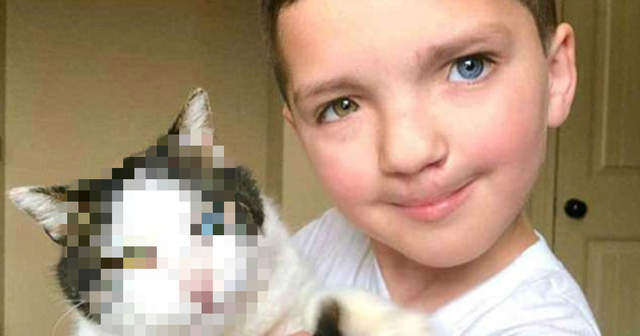 長相完全一樣《小男孩遇見命中注定的貓》異瞳雙色眼珠超美