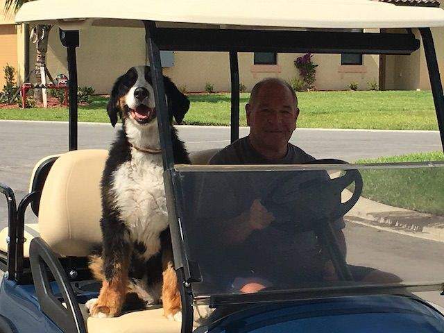 《以牙還牙以眼還眼法官》 丟掉寵物？判你也被丟掉一天試試看