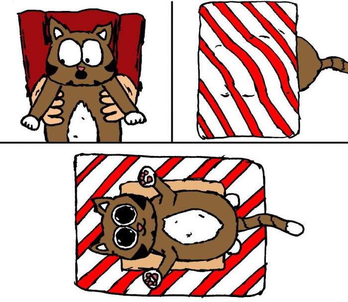 《有貓怎麼包禮物？》總共60步驟讓漫畫家告訴你