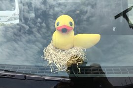 呱呱呱《鴨子造型行車紀錄器》治癒的小東西在車上陪伴你~ 呱呱呱《鴨子造型行車紀錄器》治癒的小東西在車上陪伴你~