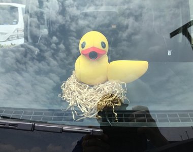 呱呱呱《鴨子造型行車紀錄器》治癒的小東西在車上陪伴你~ 呱呱呱《鴨子造型行車紀錄器》治癒的小東西在車上陪伴你~