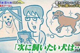 飼主最大的痛《寵物去世應該過多久再養新寵物》太快迎接新成員被罵沒人性…… 飼主最大的痛《寵物去世應該過多久再養新寵物》太快迎接新成員被罵沒人性……