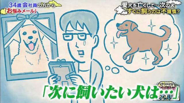 飼主心痛《寵物去世多久再養新寵物》太快迎接新成員很沒人性嗎……