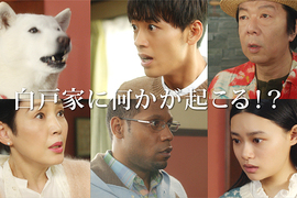 狂熱效應《你的名字「白戶家版」》一夜限定廣告 惡搞的太可愛成功吸睛~ 狂熱效應《你的名字「白戶家版」》一夜限定廣告 惡搞的太可愛成功吸睛~