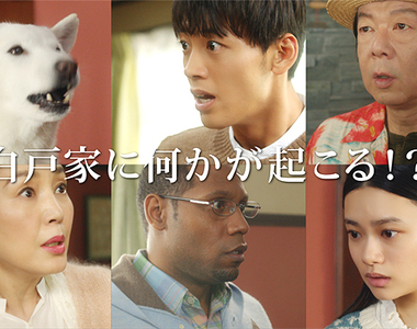 狂熱效應《你的名字「白戶家版」》一夜限定廣告 惡搞的太可愛成功吸睛~ 狂熱效應《你的名字「白戶家版」》一夜限定廣告 惡搞的太可愛成功吸睛~