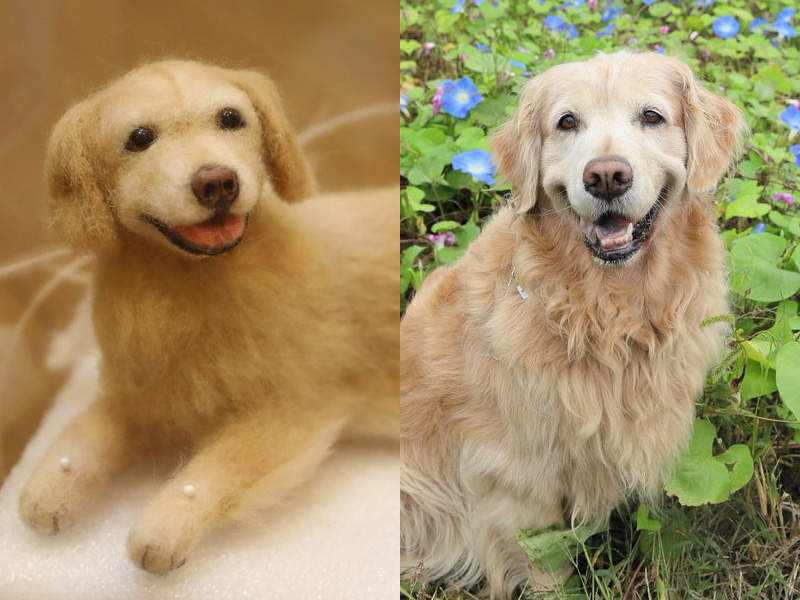 SE作曲家「岩崎英則」已經離世的《愛犬羊毛氈》被身後的小翅膀戳到哭點了 SE作曲家「岩崎英則」已經離世的《愛犬羊毛氈》被身後的小翅膀戳到哭點了