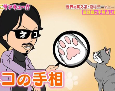 手相專家解說《貓咪肉球的5大類別》大家的貓咪個性準不準…… 手相專家解說《貓咪肉球的5大類別》大家的貓咪個性準不準……