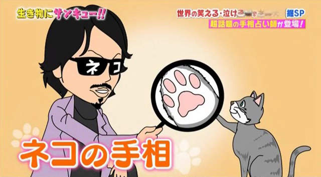 手相專家解說《貓咪肉球的5大類別》大家的貓咪個性準不準…… 手相專家解說《貓咪肉球的5大類別》大家的貓咪個性準不準……