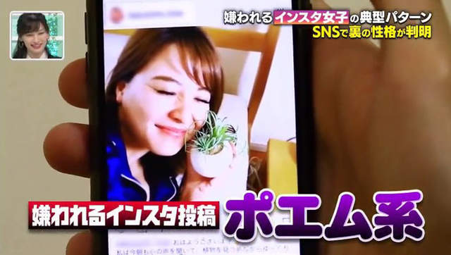 女生超討厭的蒼蠅《Instagram假掰詩意文》可是男生竟然很喜歡……