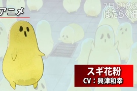 第5話《工作細胞》的《理想與現實》花粉過敏原非常有出娃娃的潛力wwwww 第5話《工作細胞》的《理想與現實》花粉過敏原非常有出娃娃的潛力wwwww