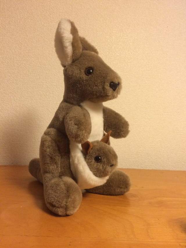 推特瘋傳《恐怖袋鼠娃娃》乍看可愛卻造成童年陰影的超狂設計... 推特瘋傳《恐怖袋鼠娃娃》乍看可愛卻造成童年陰影的超狂設計...