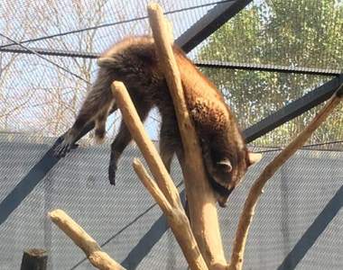 《嚇死飼育員的動物睡相》看來動物園生活是真的夠安逸啊... 《嚇死飼育員的動物睡相》看來動物園生活是真的夠安逸啊...