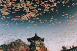 這些都是《iPhone下的首爾風景》原來你我也可以成為頂尖攝影師 這些都是《iPhone下的首爾風景》原來你我也可以成為頂尖攝影師