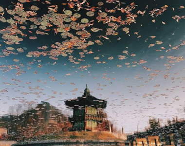 這些都是《iPhone下的首爾風景》原來你我也可以成為頂尖攝影師 這些都是《iPhone下的首爾風景》原來你我也可以成為頂尖攝影師