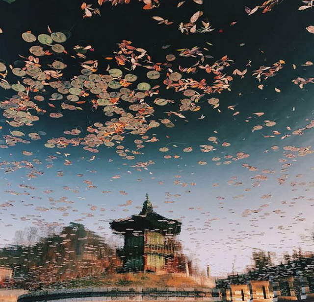 這些都是《iPhone下的首爾風景》原來你我也可以成為頂尖攝影師 這些都是《iPhone下的首爾風景》原來你我也可以成為頂尖攝影師