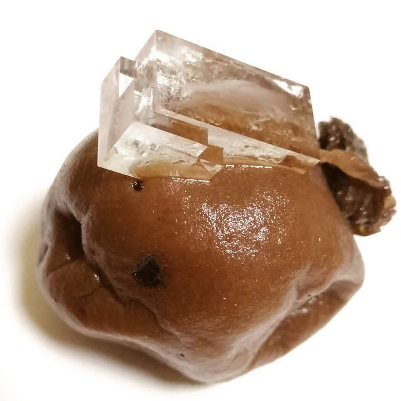 推特瘋傳《梅干上的食鹽結晶》醃了10年的梅干鹽分果然驚人...