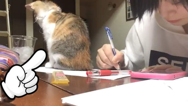 《我書讀不好的理由》邪惡的＂要人陪妖怪＂說什麼就是不讓開...╮(╯_╰)╭