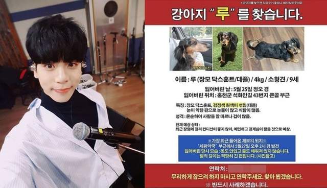 《鐘鉉》愛犬走失親姊請大家協尋 結果找到牠時....竟然在游泳（？）