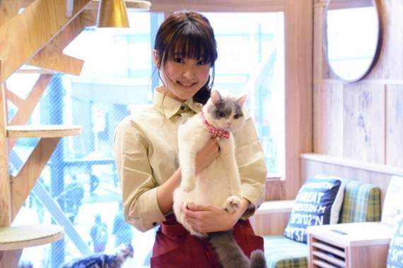 吸貓喵喵喵♡《貓咪咖啡廳》真人版電影由聲優「久保百合花」主演