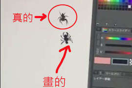 《遇到蜘蛛怎麼辦》那就畫另外一隻出來釘孤支啊 《遇到蜘蛛怎麼辦》那就畫另外一隻出來釘孤支啊
