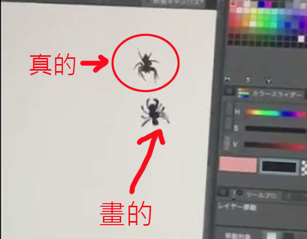 《遇到蜘蛛怎麼辦》那就畫另外一隻出來釘孤支啊 《遇到蜘蛛怎麼辦》那就畫另外一隻出來釘孤支啊