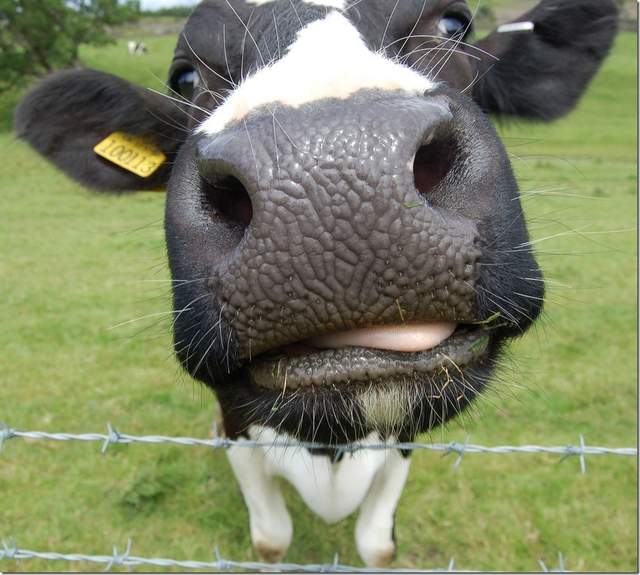 《嘴角失守GIF》KUSO人生的一瞬之光系列