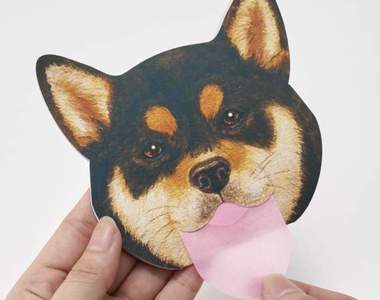 《柴犬吸油面紙》這次換阿柴來幫你舔去臉上多餘的油脂(欸) 《柴犬吸油面紙》這次換阿柴來幫你舔去臉上多餘的油脂(欸)