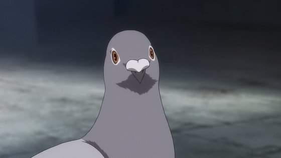 推特瘋傳《新年的鴿子奇遇記》鴿子腳上的信竟帶來意外的幸運之禮... 推特瘋傳《新年的鴿子奇遇記》鴿子腳上的信竟帶來意外的幸運之禮...