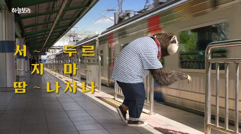 看完忍不住按加速鍵的《樹懶廣告》這...廣...告...非...常...好...看...唷...