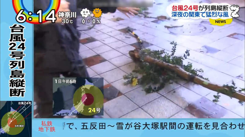 《日本記者神演技》尋找被颱風連根拔起的路樹 換個角度再演一次…… 《日本記者神演技》尋找被颱風連根拔起的路樹 換個角度再演一次……