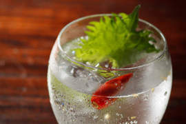 美美的燒酒喝法《金魚》讓酒杯看起來就像魚缸一樣♥ 美美的燒酒喝法《金魚》讓酒杯看起來就像魚缸一樣♥