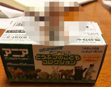 《最讓人火大的隱藏版公仔》說好的可愛毛小孩呢?...(怨) 《最讓人火大的隱藏版公仔》說好的可愛毛小孩呢?...(怨)