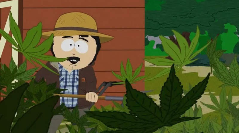 《動畫官網教你種大麻》動畫官方網站驚傳被駭 網友看了都傻眼……