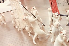 五美大展中的話題創作《大貓的隊伍》各種逼真又可愛喵星人引發討論 五美大展中的話題創作《大貓的隊伍》各種逼真又可愛喵星人引發討論