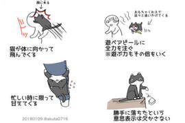 《養貓的辛苦》4張插畫道出所有喵飼主的心聲 《養貓的辛苦》4張插畫道出所有喵飼主的心聲