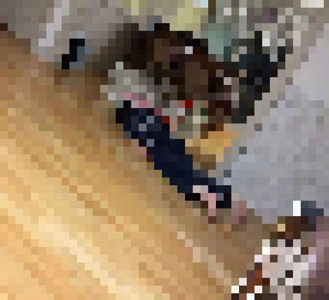 《24歲的姐姐第一次養狗》這畫面是全天下飼主的心聲阿( ̄▽ ̄) 《24歲的姐姐第一次養狗》這畫面是全天下飼主的心聲阿( ̄▽ ̄)