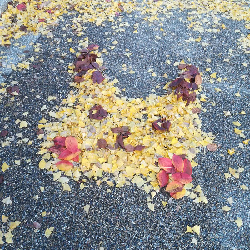 秋天才有的美景《落葉藝術》不起眼的滿地落葉裡竟隱藏著這些可愛角色