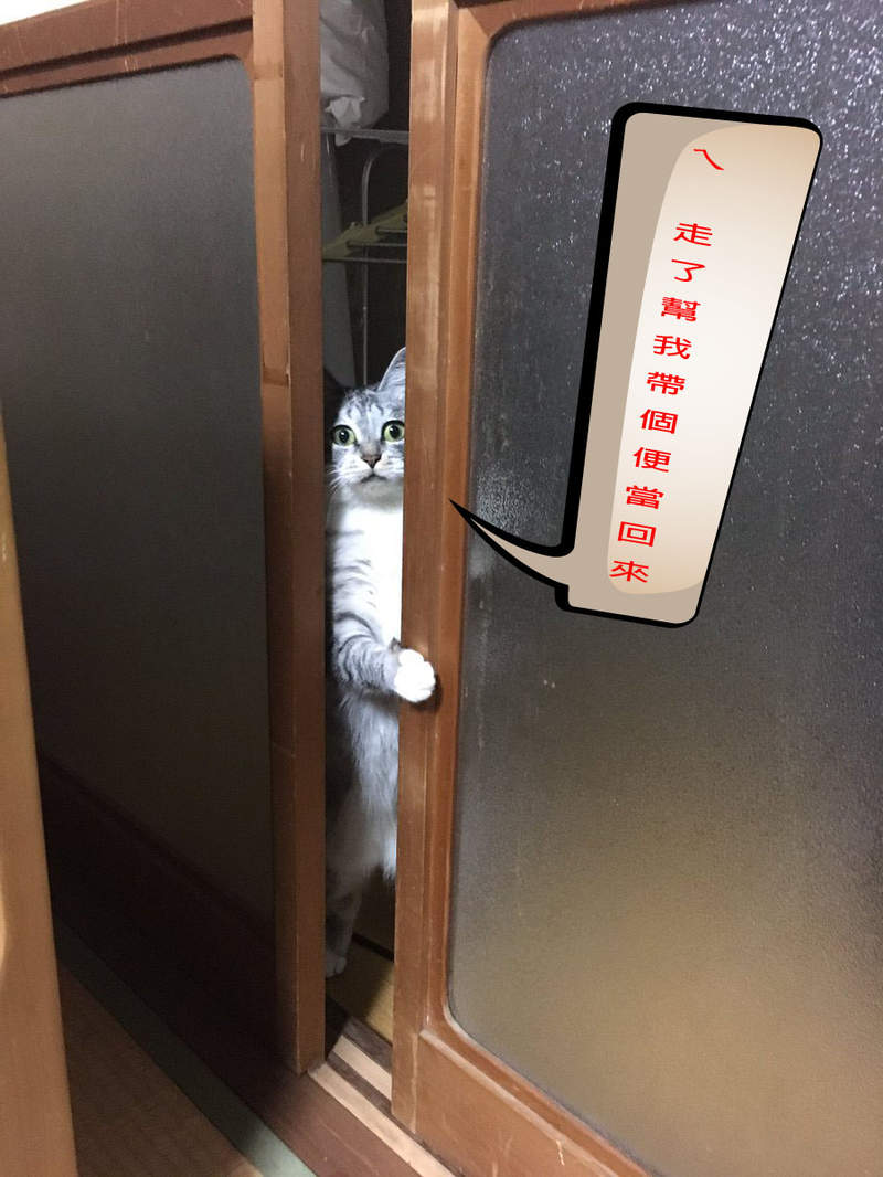 《萌萌系好笑動物影片》KUSO人生的一瞬之光系列