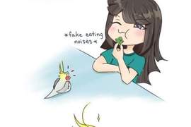 鳥奴必看的《鸚鵡飼育插畫》超可愛內容讓鳥奴都瘋狂啦~ 鳥奴必看的《鸚鵡飼育插畫》超可愛內容讓鳥奴都瘋狂啦~